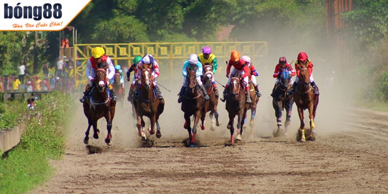 Cá Cược Đua Ngựa BONG88 - Tỷ Lệ Kèo Và Chiến Thuật Cược 3 Đánh giá huấn luyện viên
