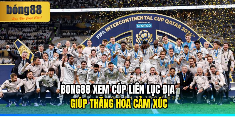 BONG88 Xem Cúp Liên Lục Địa Giúp Thăng Hoa Cảm Xúc 10 BONG88 Xem Cúp Liên Lục Địa